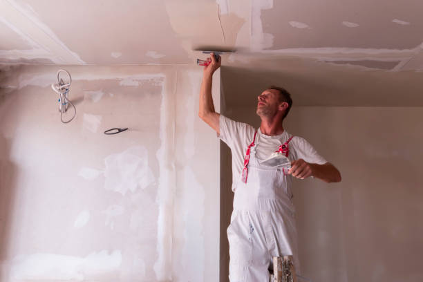 Best Drywall Finishing  in USA